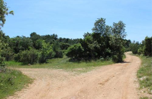 Eco Secluded apartments Zabodarski - Foto 4