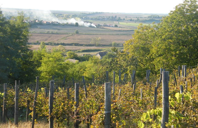 Müllers Ferienhaus Leitenhof - Photo 11