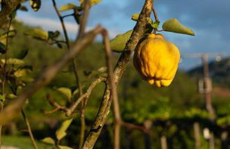 Hotel Donas e Cabaleiros - Photo 29