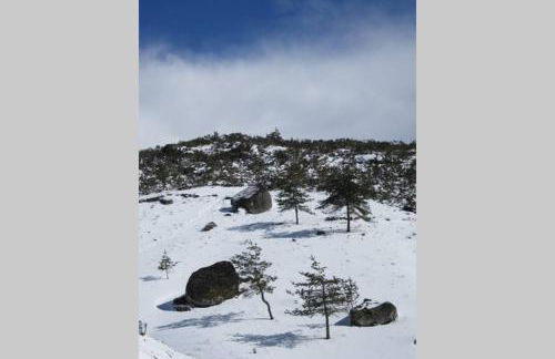 Casa Oeste - Photo 60