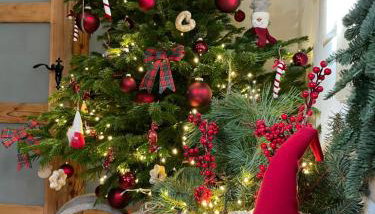 Apartamenty sudeckie nad zalewem IV - Foto 4