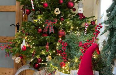 Apartamenty sudeckie nad zalewem IV - Foto 4