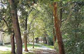 Apartments Am Spitalthor - Foto 31