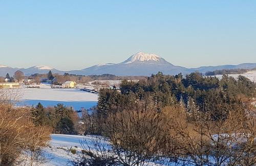 Nouveau Le Chant des Arbres - Foto 1