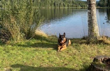 GreenHolidays - Foto 23