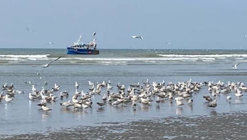 Appartement face mer - Photo 2