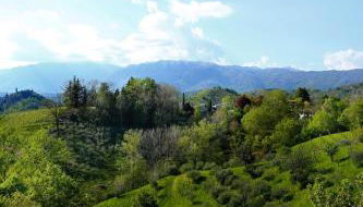 Asolo Norah's Hill Agri Rooms - Foto 3