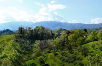Asolo Norah's Hill Agri Rooms - Foto 3