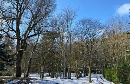 Manoir et Appartements avec piscine au Domaine de Bize Mirepoix - Foto 64