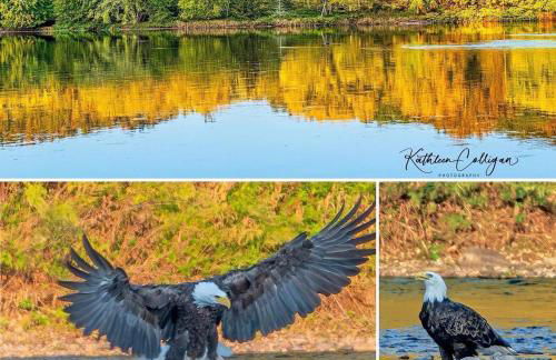 Roscoe Cottage Pet Friendly - Foto 33