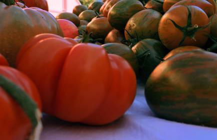 Agriturismo L'isola - Foto 63