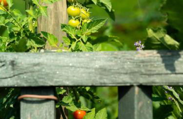 Casa Fornace 28 - Photo 16