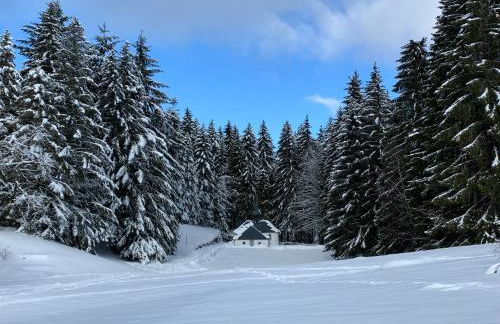 L'Orpin Givré - Chalet Limoselle avec grande mezzanine - Foto 30
