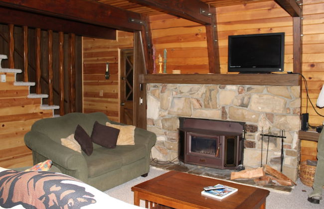 Big Bear's Lair Home - Photo 1