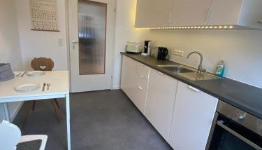 Lichtblick unter der Buche - Photo 4