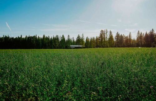 Luxe Nordic Barndominium Retreat at Black Pine - Foto 39