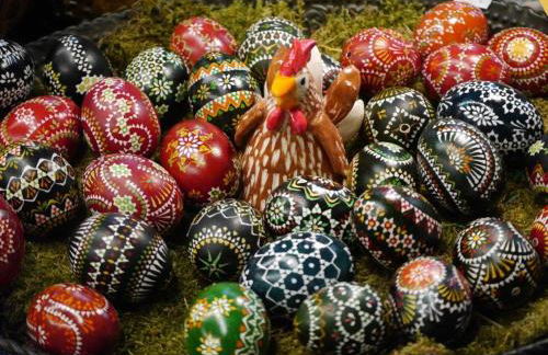 Crosta Brava - Foto 42