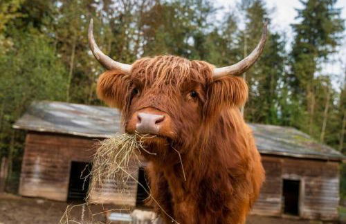 The Cottage at Highland Farms - Foto 52