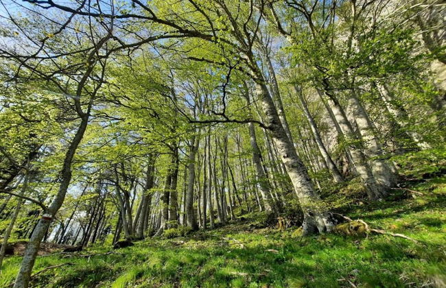 Welcoming Mobile Home in Toscana With Garden - Photo 35