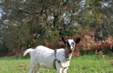 Apartamento Estilo Americano - Foto 40