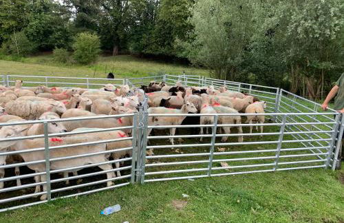 Hertford farm Woodland cabin pet friendly firepit bbq - Foto 45