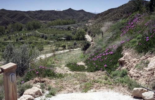 Cuevas Cortijo El Capellán - Foto 77