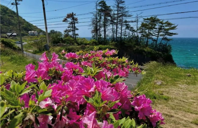 Rental cottage Santorope - Foto 22