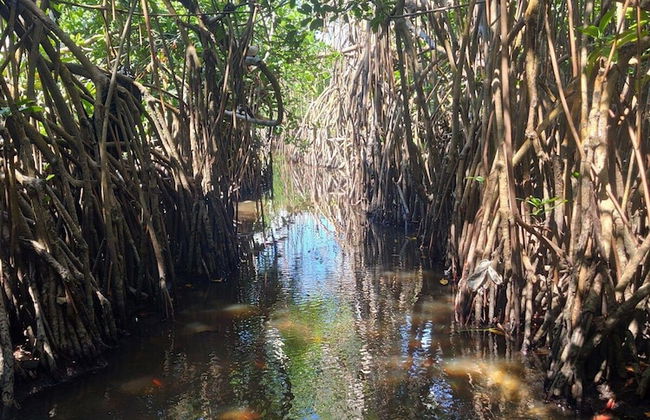 Beachfront Studios - Foto 31