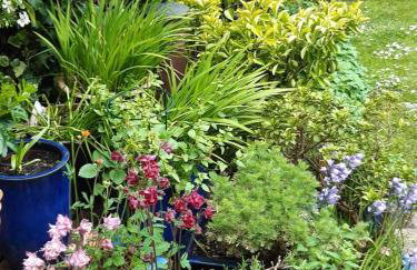 Peaceful Family Retreat Near Gloucester Road - Foto 36