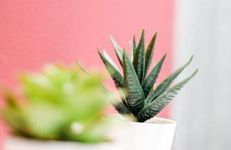 3 Bedroom Home Free Parking & WiFi Contractors Welcome! - Foto 24