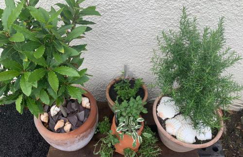 8Murrayfield, St Abbs - Foto 40