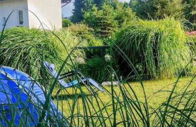 Mistral Jarosławiec - Foto 6