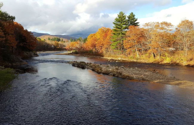 Cardinals Perch - Foto 50