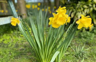 Newly renovated Stables conversion - Foto 38