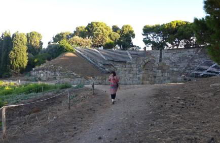 Bouganville in Villa Greco - Foto 72