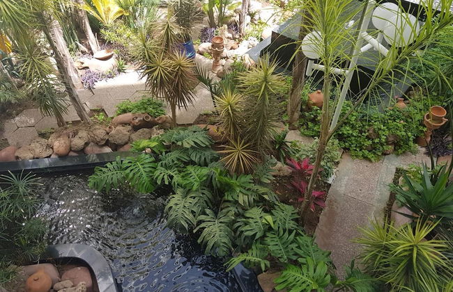 Residence Yasmina - Photo 41