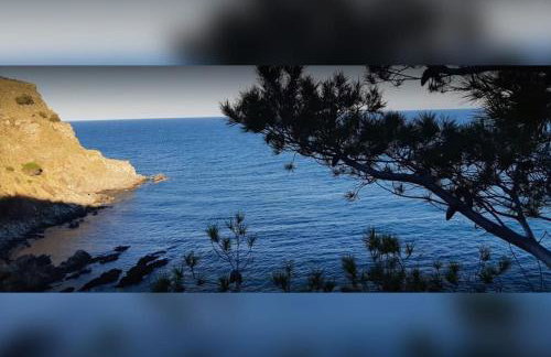 Vue mer, crique de Peyrefite, Cerbère-Banyuls. - Foto 41