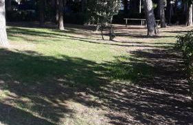 SOTTO IL PINO - Foto 19