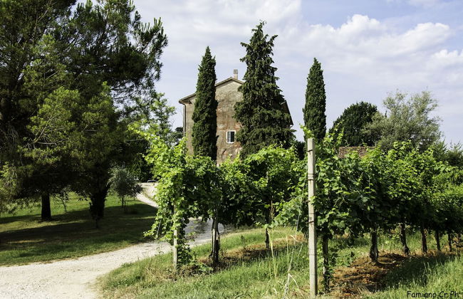 Agriturismo Le Spezie - Foto 27