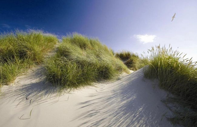 Apartment in Texel Near De Koog Center - Foto 30