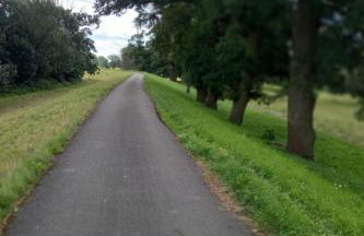 Holiday Home Haus Elbrose inmitten von Rosen mit Elbdeichzugang by Interhome - Foto 17