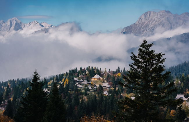 Koča Žafran - Velika planina - Foto 25