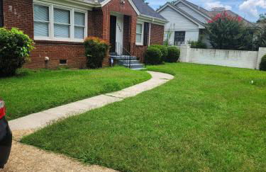 Complete Dream - Foto 15