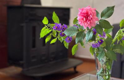 Hakuna Matata - Foto 60