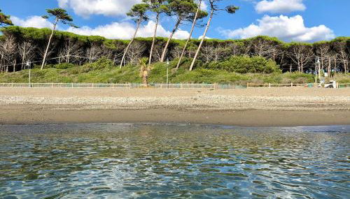 Casa Rosmarino, grill, Wi-Fi by ToscanaTour - Foto 2