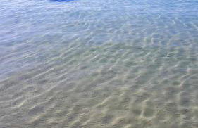 Apartmant Bionda Novi Vinodolski, cozy and nice apartment for 4 people in the city center - Photo 13