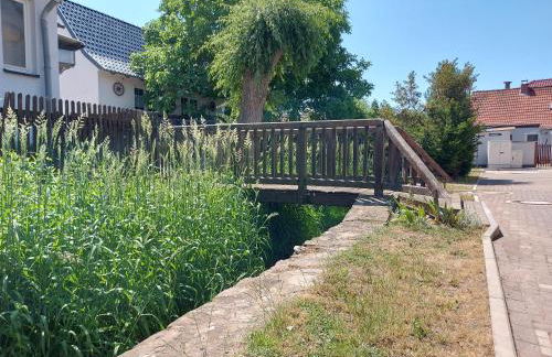 Ferienwohnung 'Frühauf' im Südharz OT Uftrungen - Foto 78