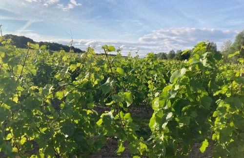 Harbour Walk - Foto 14