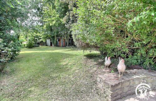 O nid des greves - Foto 29