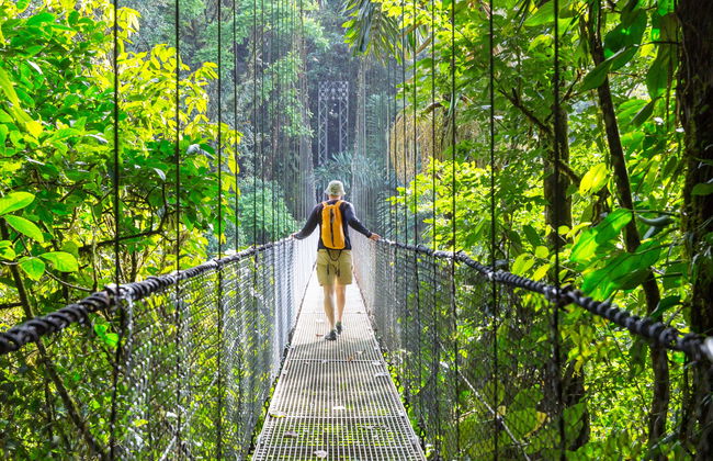 Tour dei Ponti Sospesi di Mistico Park - Foto 1